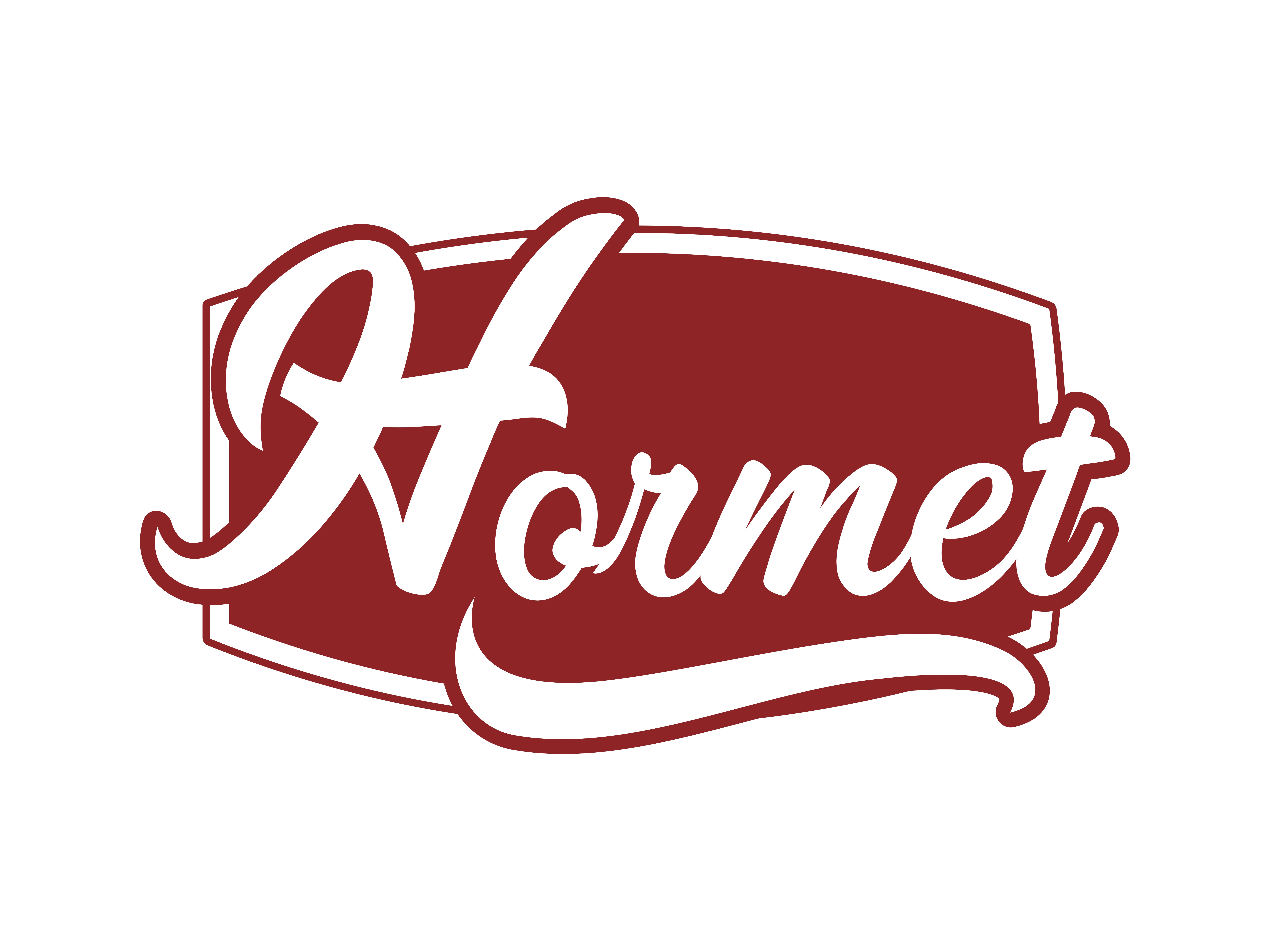 Hormet innovations Pvt Ltd.