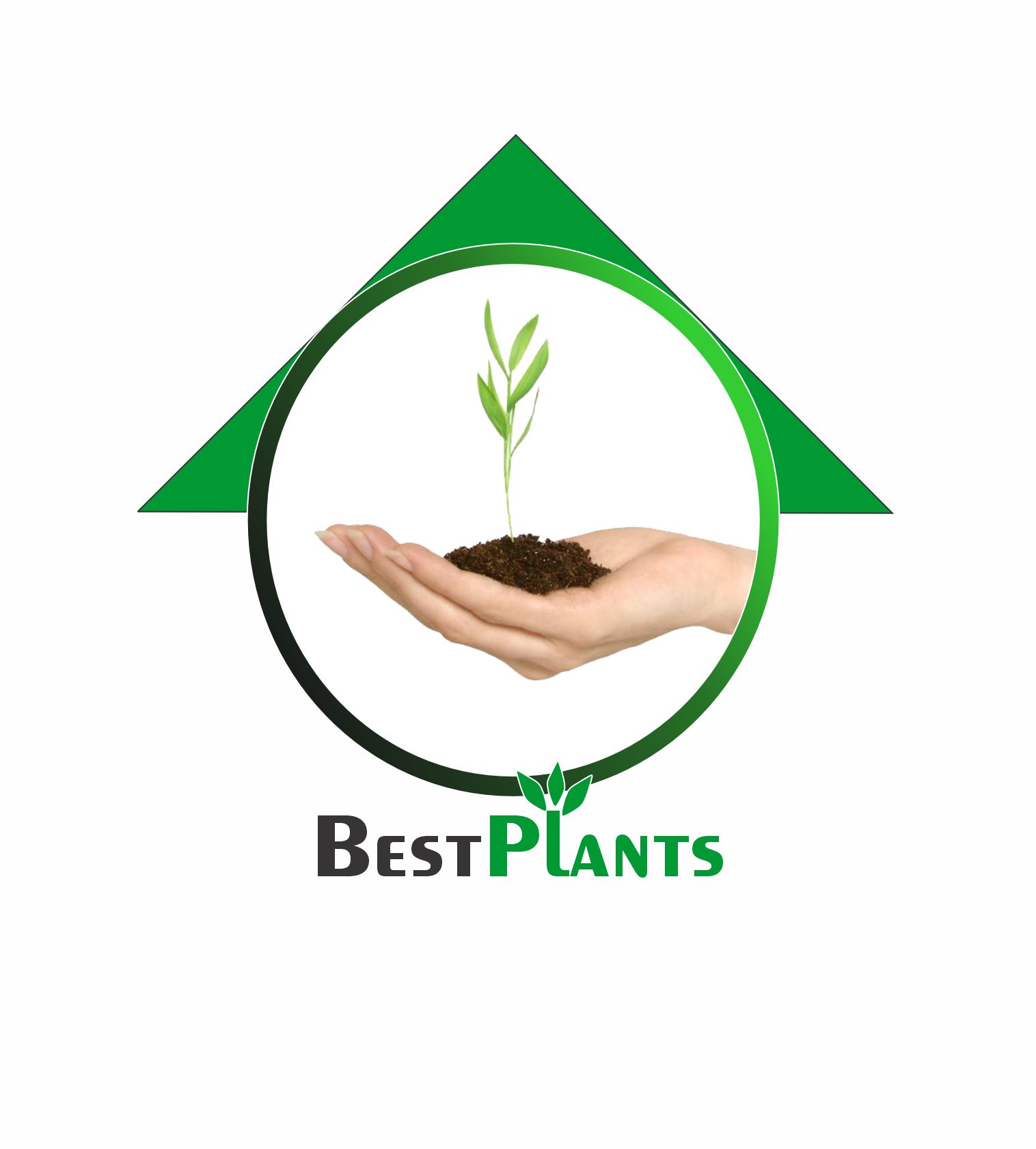 BEST PLANTS